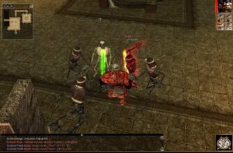 NEVERWINTER NIGHTS (2002), сражение